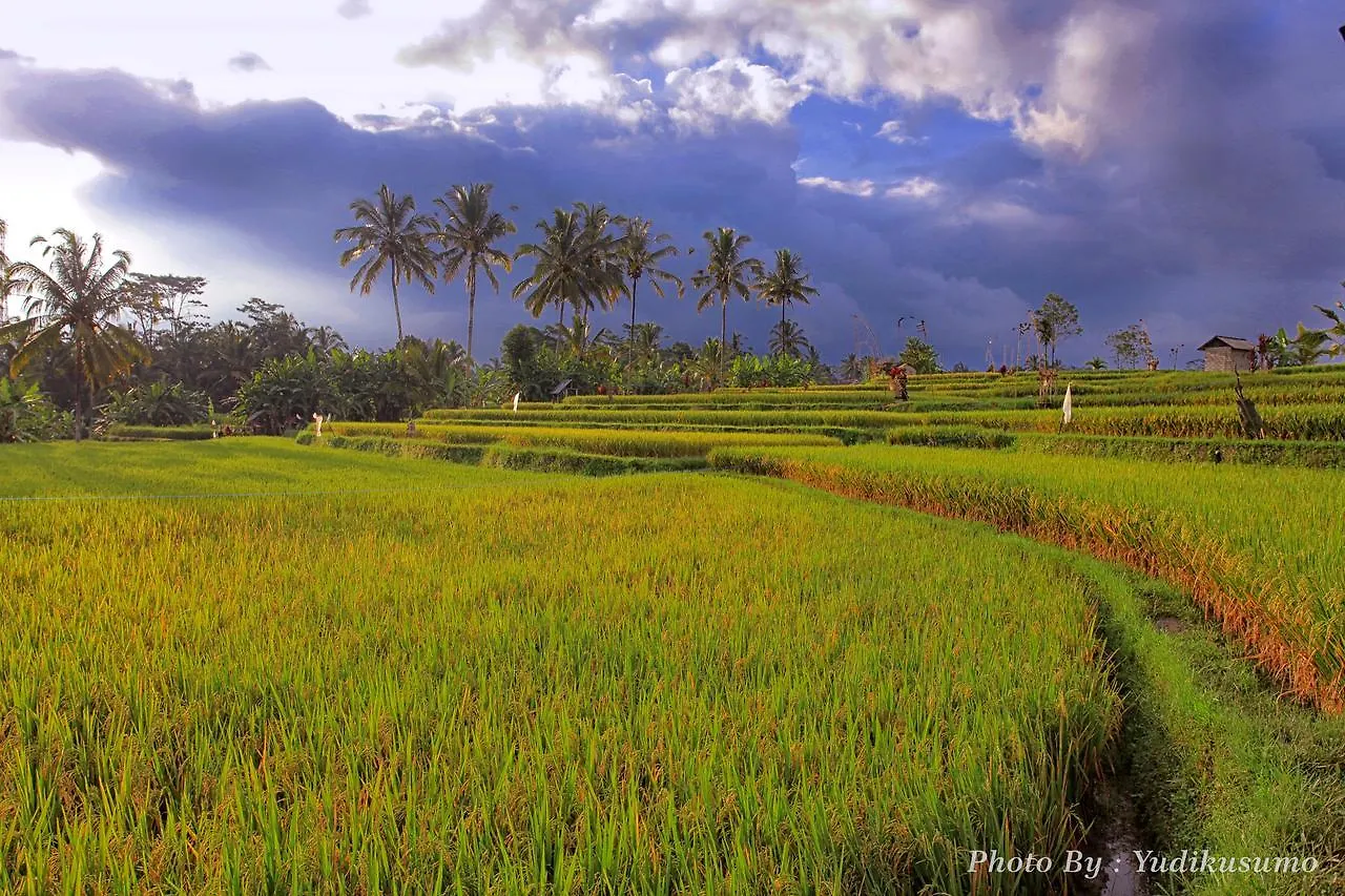 Tetirah Boutique Hotel Ubud
